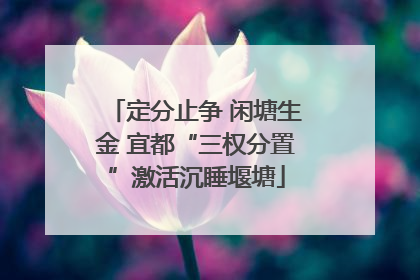 定分止争 闲塘生金 宜都“三权分置”激活沉睡堰塘