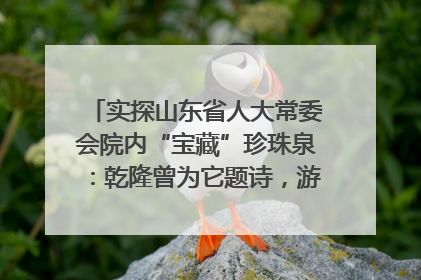 实探山东省人大常委会院内“宝藏”珍珠泉：乾隆曾为它题诗，游客无需预约免费游览