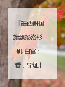 墨西哥国旗飘扬洛杉矶 白宫：看，罪证