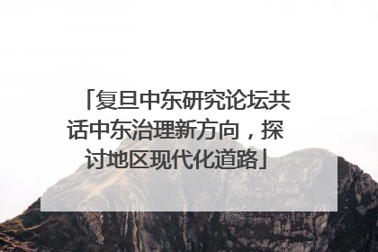 复旦中东研究论坛共话中东治理新方向，探讨地区现代化道路