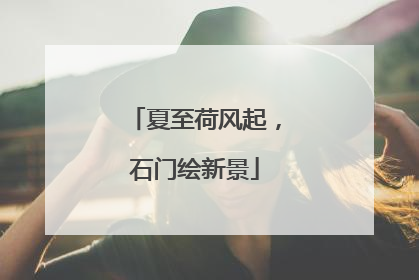 夏至荷风起，石门绘新景