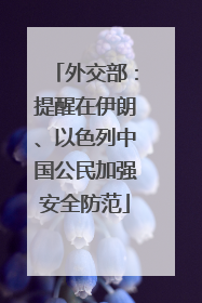 外交部：提醒在伊朗、以色列中国公民加强安全防范
