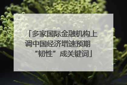 多家国际金融机构上调中国经济增速预期 “韧性”成关键词