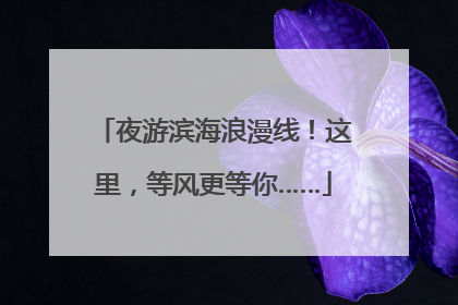 夜游滨海浪漫线！这里，等风更等你……