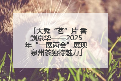 大秀“茗”片 香飘京华——2025年“一展两会”展现泉州茶独特魅力