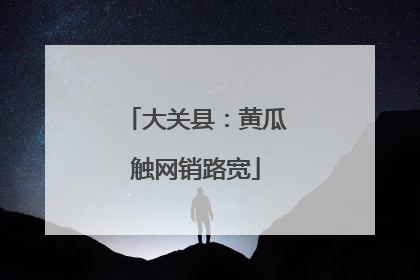 大关县：黄瓜触网销路宽