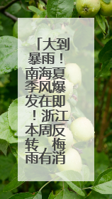 大到暴雨！南海夏季风爆发在即！浙江本周反转，梅雨有消息了