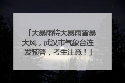 大暴雨特大暴雨雷暴大风，武汉市气象台连发预警，考生注意！