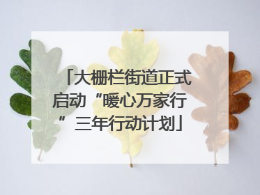大栅栏街道正式启动“暖心万家行”三年行动计划