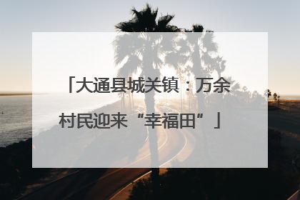 大通县城关镇：万余村民迎来“幸福田”