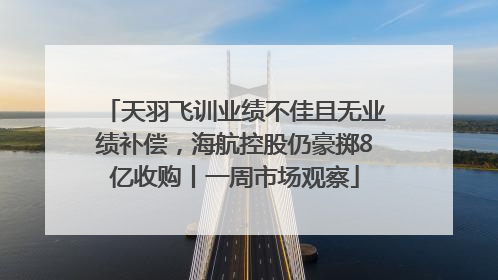 天羽飞训业绩不佳且无业绩补偿，海航控股仍豪掷8亿收购丨一周市场观察