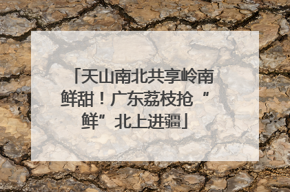 天山南北共享岭南鲜甜！广东荔枝抢“鲜”北上进疆
