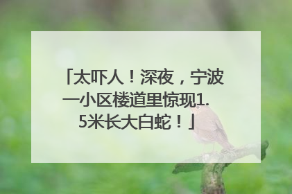 太吓人！深夜，宁波一小区楼道里惊现1.5米长大白蛇！