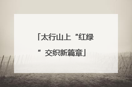 太行山上“红绿”交织新篇章