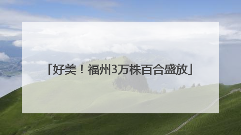 好美！福州3万株百合盛放