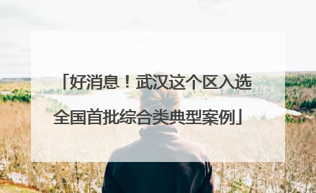 好消息！武汉这个区入选全国首批综合类典型案例