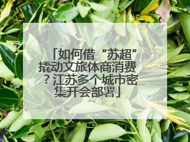 如何借“苏超”撬动文旅体商消费？江苏多个城市密集开会部署