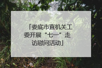 娄底市直机关工委开展“七一”走访慰问活动