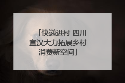 快递进村 四川宣汉大力拓展乡村消费新空间