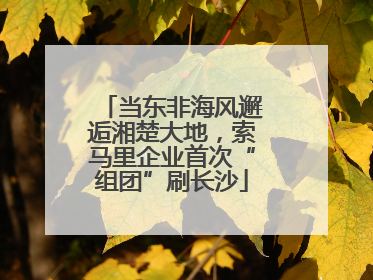 当东非海风邂逅湘楚大地，索马里企业首次“组团”刷长沙
