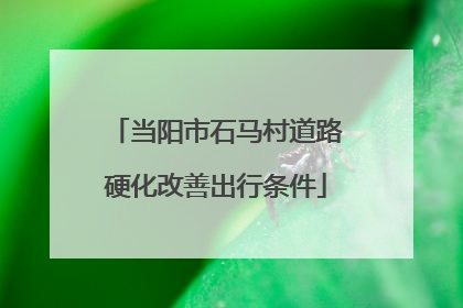 当阳市石马村道路硬化改善出行条件
