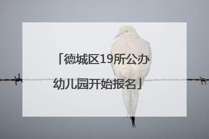 德城区19所公办幼儿园开始报名