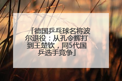 德国乒乓球名将波尔退役：从孔令辉打到王楚钦，同5代国乒选手竞争