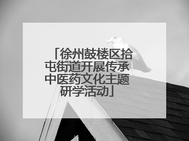 徐州鼓楼区拾屯街道开展传承中医药文化主题研学活动
