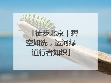 徒步北京｜碧空如洗，运河绿道行者如织