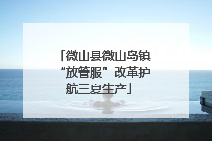 微山县微山岛镇“放管服”改革护航三夏生产