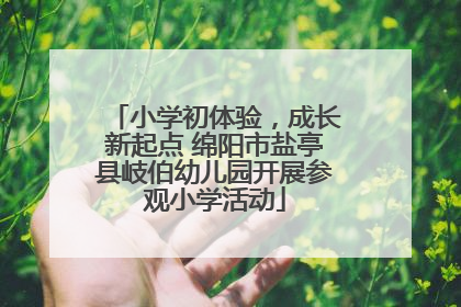小学初体验，成长新起点 绵阳市盐亭县岐伯幼儿园开展参观小学活动