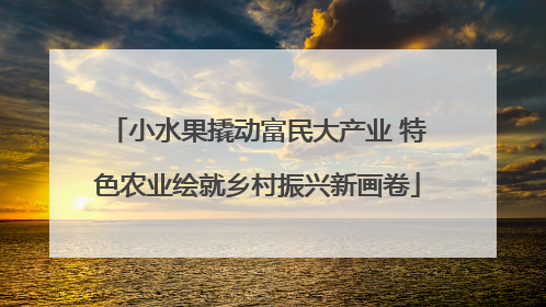 小水果撬动富民大产业 特色农业绘就乡村振兴新画卷
