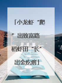 小龙虾“爬”出致富路 稻虾田“长”出金疙瘩