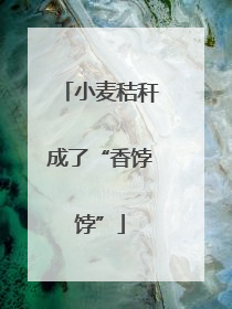 小麦秸秆成了“香饽饽”
