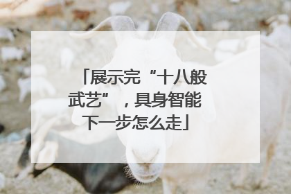 展示完“十八般武艺”，具身智能下一步怎么走