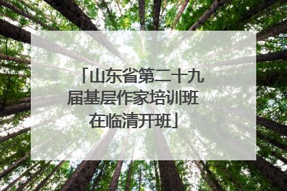 山东省第二十九届基层作家培训班在临清开班