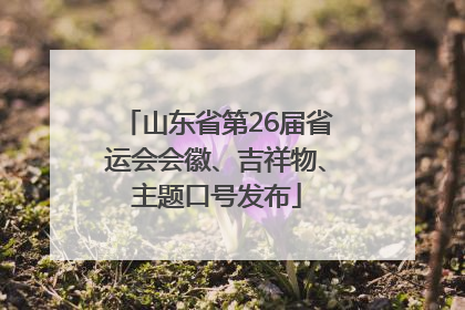 山东省第26届省运会会徽、吉祥物、主题口号发布