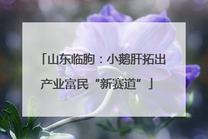 山东临朐：小鹅肝拓出产业富民“新赛道”