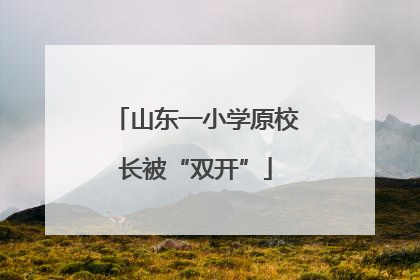 山东一小学原校长被“双开”