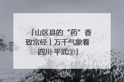 山区县的“药”香致富经丨万千气象看四川·平武③
