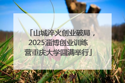 山城淬火创业破局，2025淄博创业训练营重庆大学圆满举行