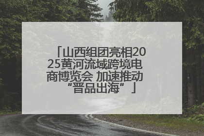 山西组团亮相2025黄河流域跨境电商博览会 加速推动“晋品出海”