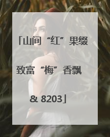 山间“红”果缀 致富“梅”香飘& 8203
