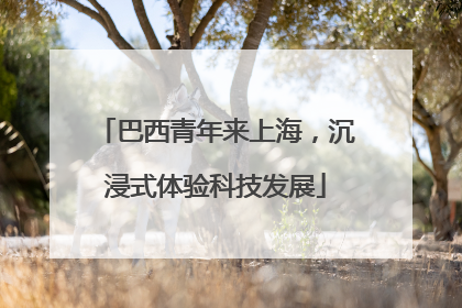 巴西青年来上海，沉浸式体验科技发展