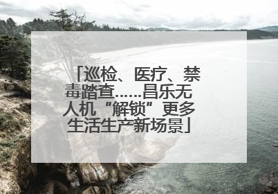 巡检、医疗、禁毒踏查……昌乐无人机“解锁”更多生活生产新场景