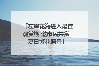 左岸花海进入最佳观赏期 邀市民共赏夏日繁花盛景