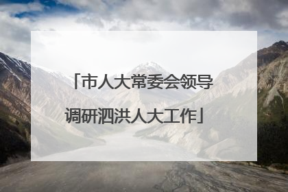 市人大常委会领导调研泗洪人大工作
