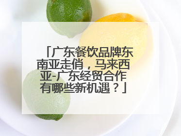 广东餐饮品牌东南亚走俏，马来西亚-广东经贸合作有哪些新机遇？