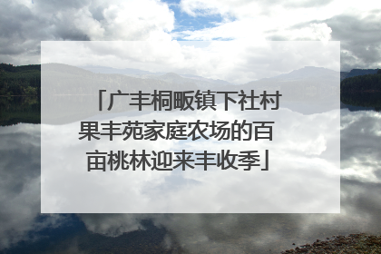 广丰桐畈镇下社村果丰苑家庭农场的百亩桃林迎来丰收季