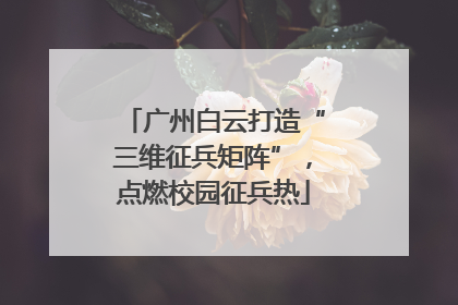 广州白云打造“三维征兵矩阵”，点燃校园征兵热